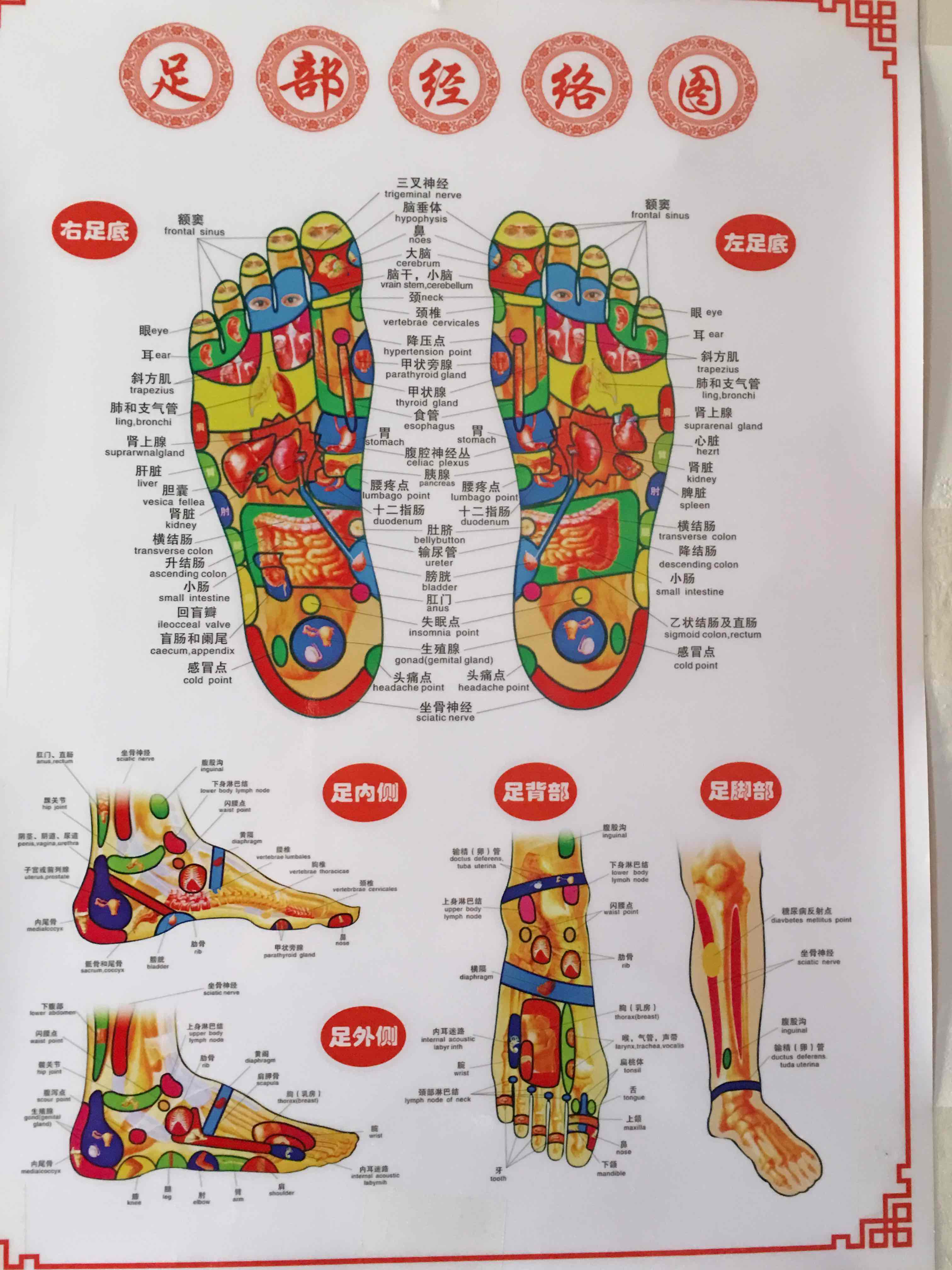 足底穴位图